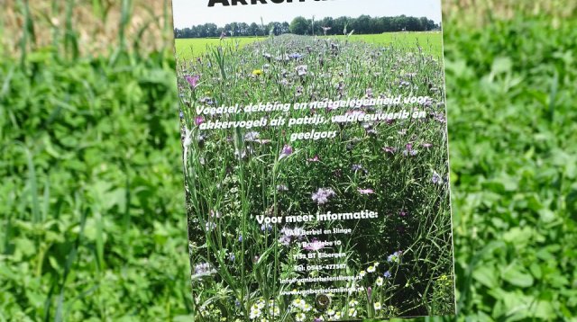 Singels en Essen wandeltocht (zondag  9 juni 2019)